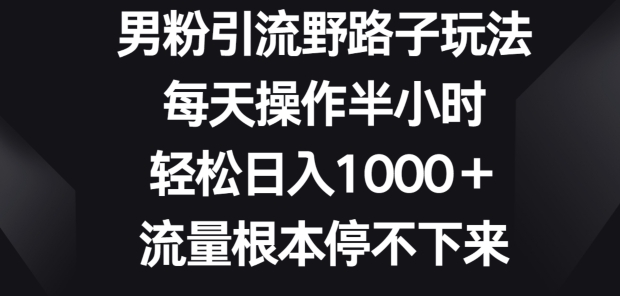 图片[1]-【2024.04.19】男粉引流野路子玩法，每天操作半小时轻松日入1000+，流量根本停不下来百度网盘免费下载-芽米宝库