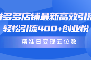 【2024.04.19】拼多多店铺最新高效引流术，轻松引流400+创业粉，精准日变现五位数！百度网盘免费下载-芽米宝库