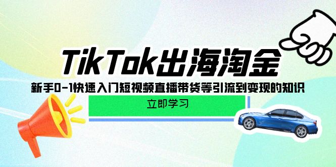 图片[1]-【2024.04.19】TikTok出海淘金，新手0-1快速入门短视频直播带货等引流到变现的知识百度网盘免费下载-芽米宝库
