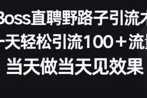 【2024.04.17】Boss直聘野路子引流术，一天轻松引流100+流量，当天做当天见效果百度网盘免费下载-芽米宝库
