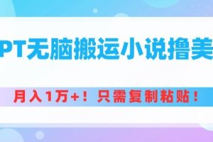 【2024.04.17】GPT无脑搬运小说撸美金，月入1万+，只需复制粘贴百度网盘免费下载-芽米宝库
