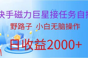 【2024.04.17】（蓝海项目）快手磁力聚星接任务自撸，野路子，小白无脑操作日入2000+百度网盘免费下载-芽米宝库