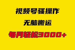 【2024.04.15】4月最新视频号无脑爆款玩法，挂机纯搬运，每天轻松3000+百度网盘免费下载-芽米宝库