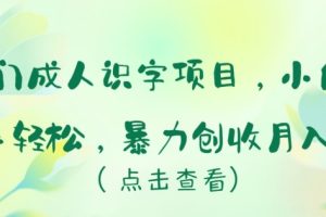 【2024.04.16】冷门成人识字项目，小白上手轻松，暴力创收月入5w+百度网盘免费下载-芽米宝库