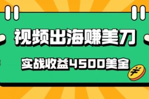 【2024.04.15】国内爆款视频出海赚美刀，实战收益4500美金，批量无脑搬运，无需经验直接上手百度网盘免费下载-芽米宝库