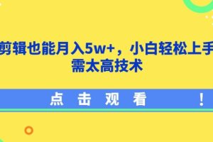 【2024.04.15】影视剪辑也能月入5w+，小白轻松上手，无需太高技术百度网盘免费下载-芽米宝库