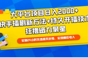 【2024.04.14】大平台项目日入2000+，快手播剧新方法+持久开播技术，狂撸磁力聚星百度网盘免费下载-芽米宝库
