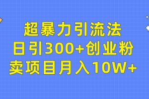 【2024.04.14】超暴力引流法，日引300+创业粉，卖项目月入10W+百度网盘免费下载-芽米宝库