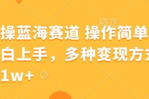 【2024.04.11】健身操蓝海赛道 操作简单 适合小白上手，多种变现方式，月入1W+百度网盘免费下载-芽米宝库