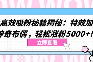 【2024.04.11】两个高效吸粉秘籍揭秘：特效加持与神奇布偶，轻松涨粉5000+百度网盘免费下载-芽米宝库