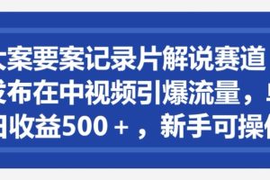 【2024.04.11】大案要案记录片解说赛道，发布在中视频引爆流量，单日收益500+，新手可操作百度网盘免费下载-芽米宝库