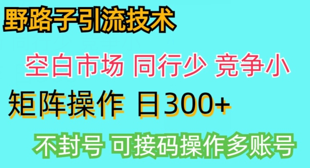 图片[1]-【2024.04.09】拼多多野路子引流创业粉实战教学，手动操作，用户转化率高百度网盘免费下载-芽米宝库