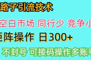 【2024.04.09】拼多多野路子引流创业粉实战教学，手动操作，用户转化率高百度网盘免费下载-芽米宝库