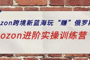 【2024.04.07】ozon跨境新蓝海玩“赚”俄罗斯，ozon进阶实操训练营百度网盘免费下载-芽米宝库