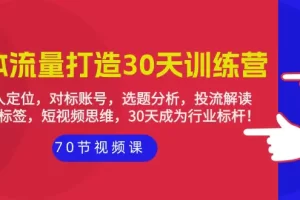 【2024.04.06】实体-流量打造-30天训练营：个人定位，对标账号，选题分析，投流解读-70节百度网盘免费下载-芽米宝库