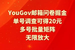 【2024.04.05】YouGov邮箱问卷掘金，单号调查可得20元，批量矩阵无限放大百度网盘免费下载-芽米宝库