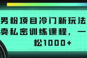 【2024.04.05】男粉项目冷门新玩法，售卖私密训练课程，一天轻松1000+百度网盘免费下载-芽米宝库