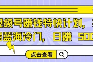 【2024.04.05】视频号赚钱特快计划，挖掘蓝海冷门，日赚 500+百度网盘免费下载-芽米宝库