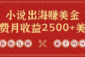 【2024.04.04】小说出海赚美金，稿费月收益2500+美金，仅需chatgpt粘贴复制，新手也能玩转百度网盘免费下载-芽米宝库