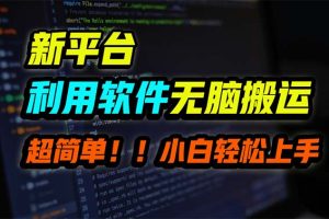 【2024.04.03】新平台用软件无脑搬运，月赚10000+，小白也能轻松上手百度网盘免费下载-芽米宝库