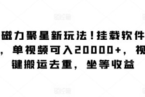 【2024.04.02】快手磁力聚星新玩法，挂载软件狂撸收益，单视频可入20000+，视频一键搬运去重，坐等收益百度网盘免费下载-芽米宝库