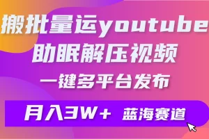 【2024.04.02】批量搬运YouTube解压助眠视频 一键多平台发布 月入2W+百度网盘免费下载-芽米宝库