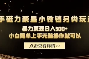 【2024.03.31】快手磁力聚星小铃铛另类玩法，暴力变现日入500+小白简单上手无脑操作就可以百度网盘免费下载-芽米宝库