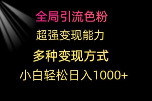 【2024.03.31】全局引流色粉 超强变现能力 多种变现方式 小白轻松日入1000+百度网盘免费下载-芽米宝库