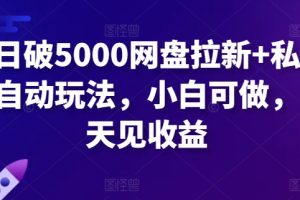 【2024.03.30】单日破5000网盘拉新+私域全自动玩法，小白可做，当天见收益百度网盘免费下载-芽米宝库