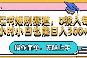 【2024.03.30】小红书短剧私域引流交易全解，简单操作所需资源都给你，0投入小白每天两小时轻松日入300+百度网盘免费下载-芽米宝库