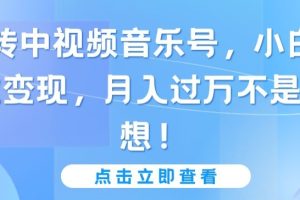 【2024.03.30】玩转中视频音乐号，小白副业变现，月入过万不是幻想百度网盘免费下载-芽米宝库