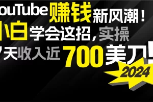 【2024.03.29】2024 YouTube赚钱新风潮！小白学会这招，7天收入近7百美金！百度网盘免费下载-芽米宝库