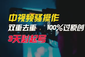【2024.03.29】中视频骚操作，双重去重100%过原创，3天比必起号，简单无脑，月入3W+百度网盘免费下载-芽米宝库