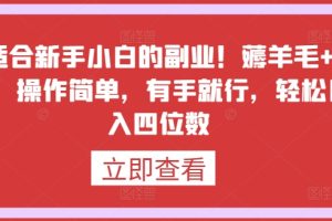 【2024.03.29】最适合新手小白的副业！薅羊毛+躺赚，操作简单，有手就行，轻松日入四位数百度网盘免费下载-芽米宝库