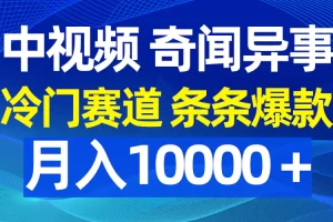 【2024.03.28】中视频奇闻异事，冷门赛道条条爆款，月入10000＋百度网盘免费下载-芽米宝库