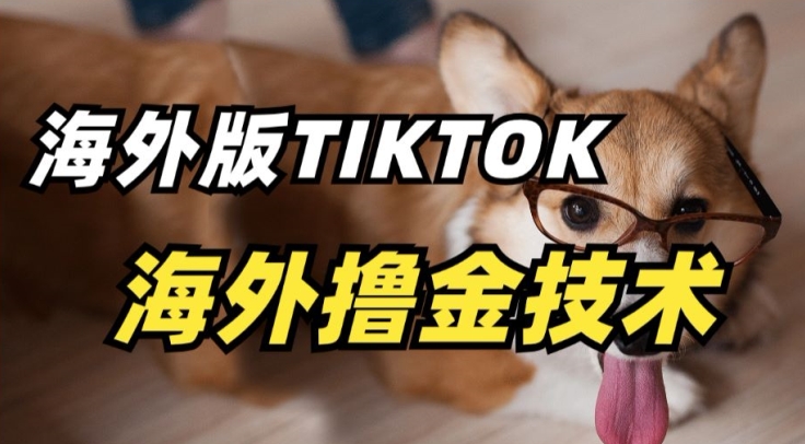 图片[1]-【2024.03.28】抖音海外版tiktok撸金技术，这个风口行业，赚钱真的不难百度网盘免费下载-芽米宝库