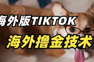 【2024.03.28】抖音海外版tiktok撸金技术，这个风口行业，赚钱真的不难百度网盘免费下载-芽米宝库