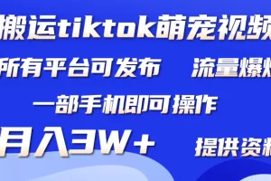【2024.03.28】搬运Tiktok萌宠类视频，一部手机即可。所有短视频平台均可操作，月入3W+百度网盘免费下载-芽米宝库