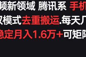 【2024.03.28】短视频新领域腾讯系 手机软件+AI双模式去重搬运.实测稳定月入1.6万+，可矩阵放大百度网盘免费下载-芽米宝库