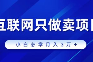 【2024.03.27】互联网的尽头就是卖项目，被割过韭菜的兄弟们必看！轻松月入三万以上！百度网盘免费下载-芽米宝库