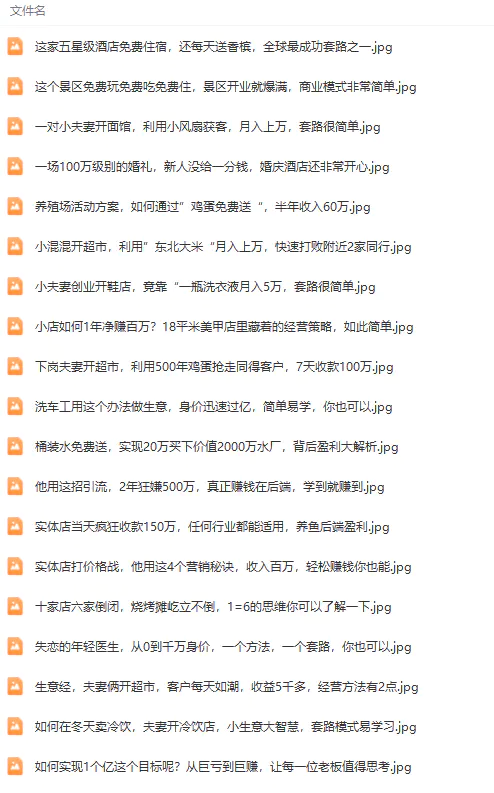 图片[4]-【2024.03.27】真实有效391套商业模式，年入几十到几百万案例解析（电子书+视频+图文）百度网盘免费下载-芽米宝库