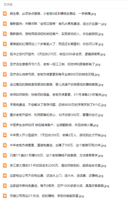 图片[5]-【2024.03.27】真实有效391套商业模式，年入几十到几百万案例解析（电子书+视频+图文）百度网盘免费下载-芽米宝库