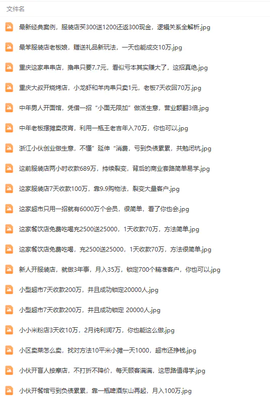 图片[6]-【2024.03.27】真实有效391套商业模式，年入几十到几百万案例解析（电子书+视频+图文）百度网盘免费下载-芽米宝库