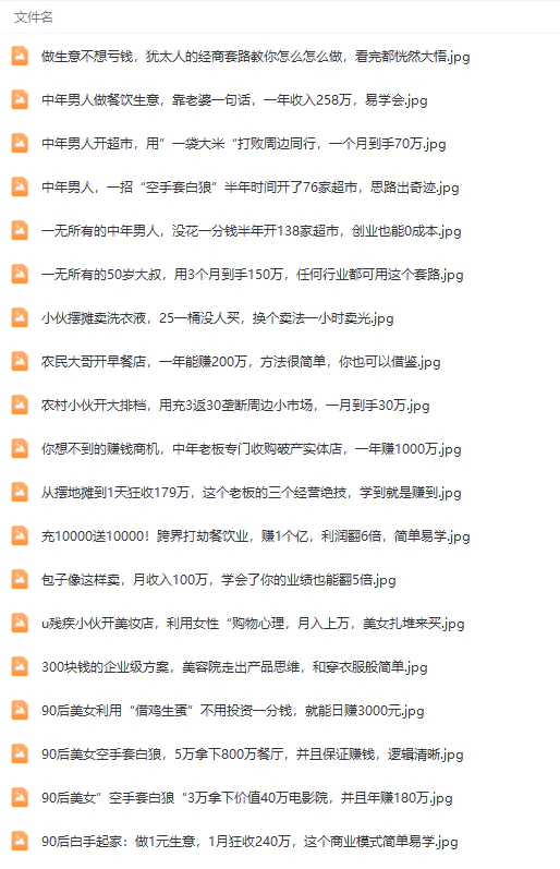 图片[7]-【2024.03.27】真实有效391套商业模式，年入几十到几百万案例解析（电子书+视频+图文）百度网盘免费下载-芽米宝库