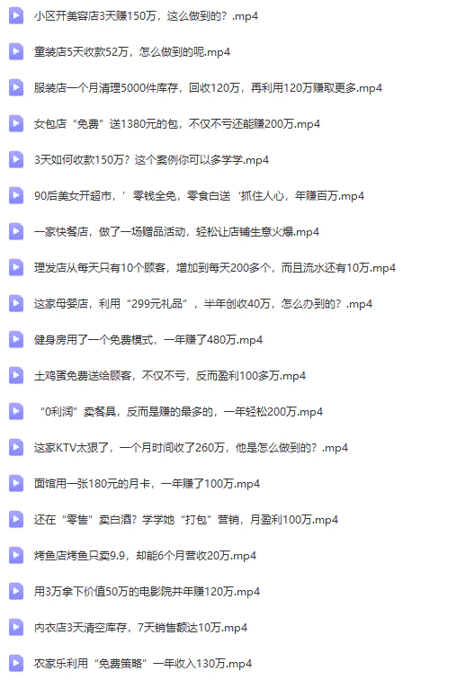 图片[9]-【2024.03.27】真实有效391套商业模式，年入几十到几百万案例解析（电子书+视频+图文）百度网盘免费下载-芽米宝库