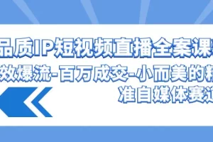 【2024.03.26】高品质 IP短视频直播-全案课程，有效爆流-百万成交-小而美的精准自媒体赛道百度网盘免费下载-芽米宝库