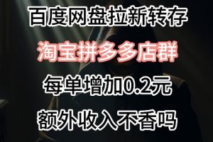 【2024.03.25】针对拼多多淘宝虚拟店的百度网盘拉新，每订单多0.2元额外收入百度网盘免费下载-芽米宝库