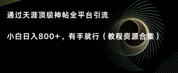 图片[1]-【2024.03.24】天涯顶级神帖项目，全平台引流小白日入800+，有手就行(内含教程资源合集)百度网盘免费下载-芽米宝库