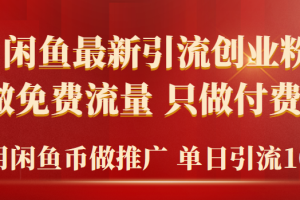 【2024.03.25】2024年闲鱼币推广引流创业粉，不做免费流量，只做付费流量，单日引流100+百度网盘免费下载-芽米宝库