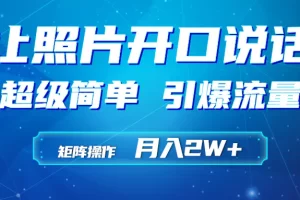 【2024.03.23】利用AI工具制作小和尚照片说话视频，引爆流量，矩阵操作月入2W+百度网盘免费下载-芽米宝库